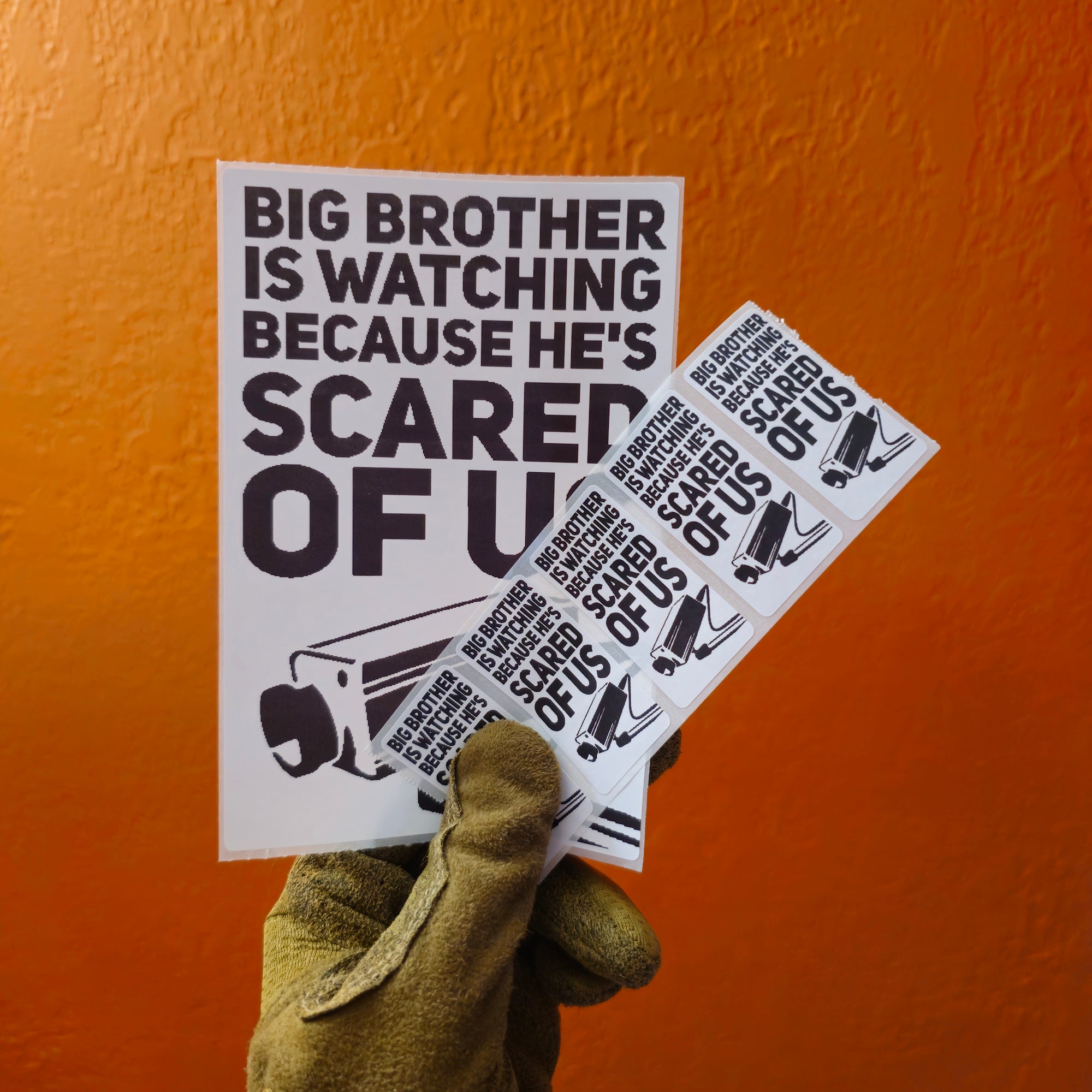 Big Brother is Watching Protest Slap Sticker
