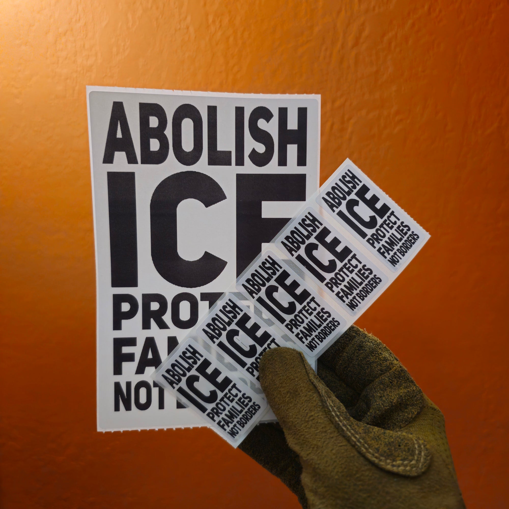 Abolish ICE Protect Families Protest Slap Sticker
