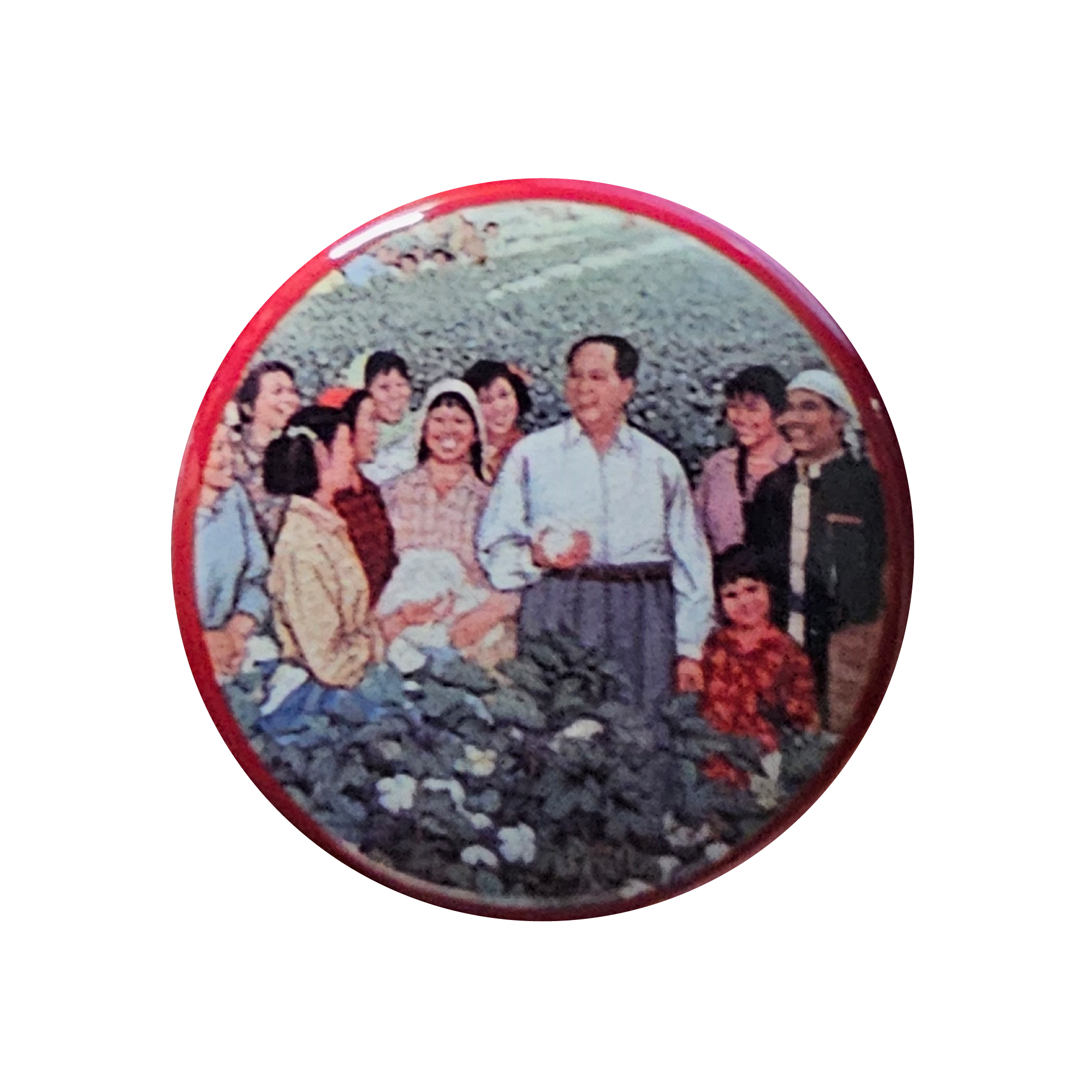 Growth Depends on the Sun Button